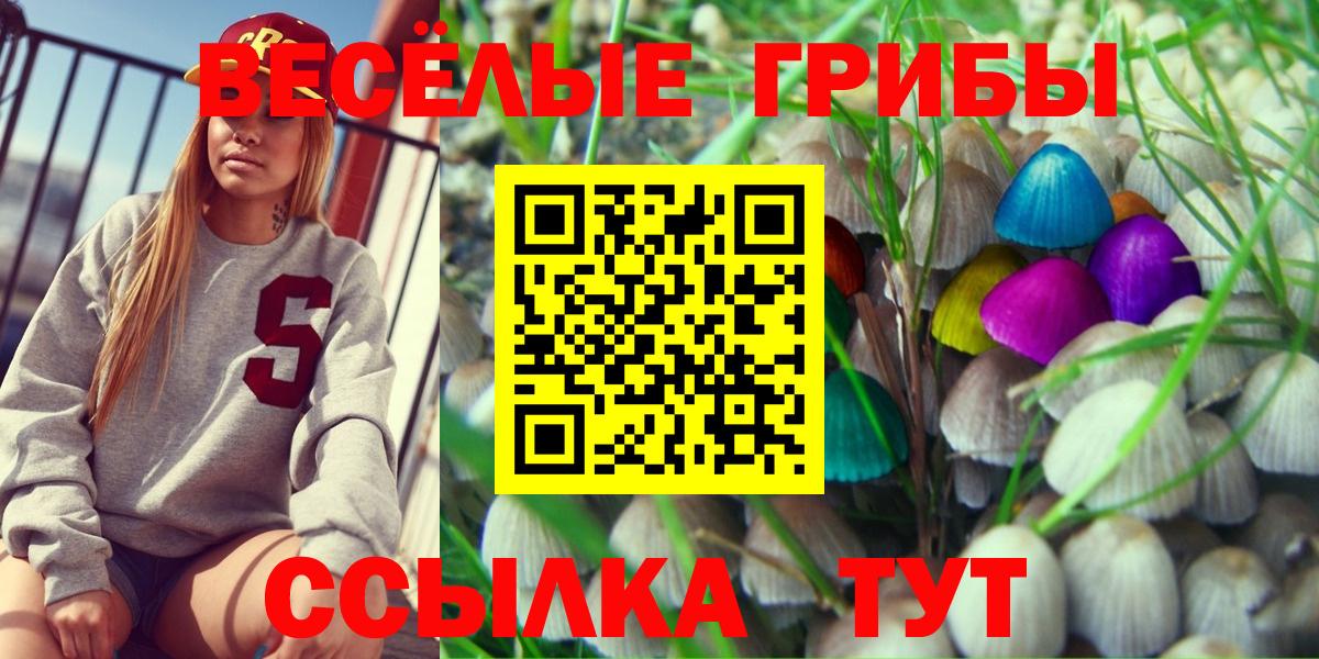 Псилоцибиновые грибы Psilocybe Ржев